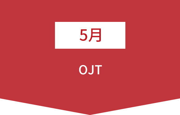 5月   OJT