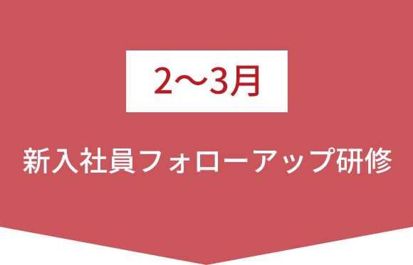 2～3月   新入社員フォローアップ研修