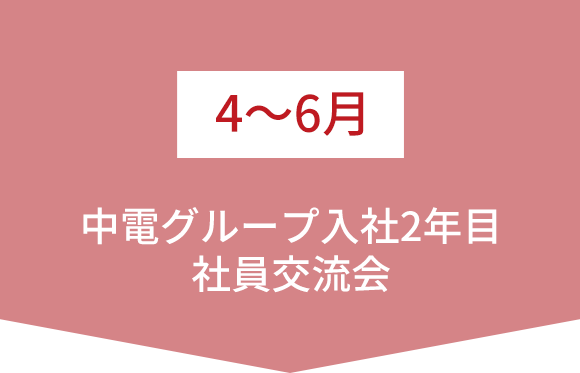 4～6月   中電グループ入社2年目社員交流会